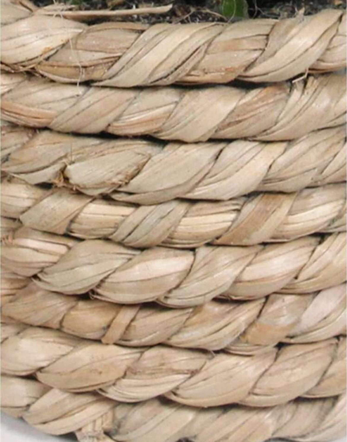 Artificial Plant in Rope Basket
