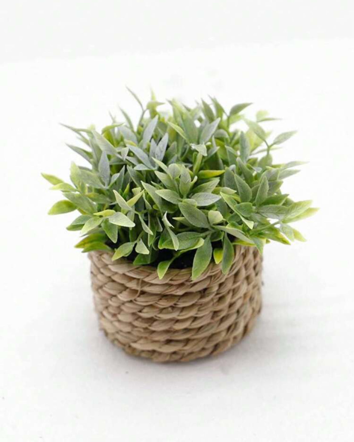 Artificial Plant in Rope Basket